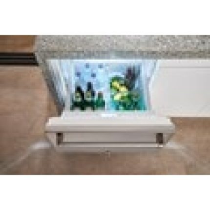 sub zero icbid 24ro product 2
